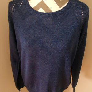 Joe Fresh Blue Metallic Sweater NWT LARGE